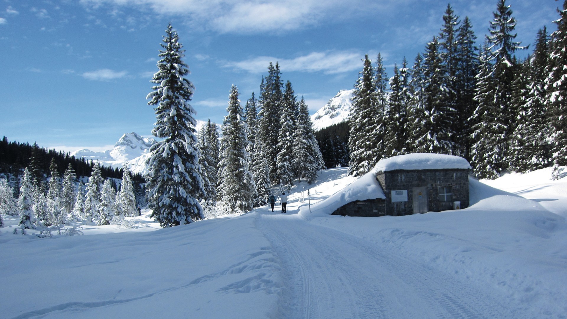 Winterwandern in Lech.